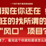 2025年风口项目终极揭秘：看完这篇，财富自由不是梦！