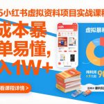 小红书虚拟资料暴利实战：0成本日赚千元，新手轻松月入过万速成秘籍！