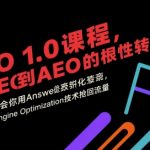 AEO 1.0终极秘籍：颠覆SEO的革命性转变，暴涨流量Answer Engine Optimization实战指南（更新）
