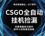 【暴利揭秘】CSGO全自动捡漏新玩法，新手零门槛日赚1000+稳定副业！
