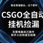 【暴利揭秘】CSGO全自动捡漏新玩法，新手零门槛日赚1000+稳定副业！