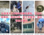 抖音大V爆款科普课独家秘籍！轻松涨粉百万+赚钱变现
