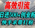 快手创业粉引流爆款秘籍：宝妈学生轻松日吸500+精准流量实战揭秘！