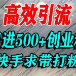 快手创业粉引流爆款秘籍：宝妈学生轻松日吸500+精准流量实战揭秘！