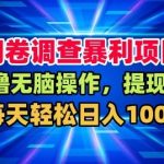 【爆款揭秘】问卷调查暴利项目：0撸秒提现，日赚100+轻松躺赚！