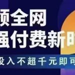 王校长拼多多无限活动流：千元内起店爆赚，新手电商付费革命！