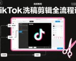 TikTok洗稿剪辑终极秘籍：Premiere Pro全流程+运营爆发课（零基础快速精通）