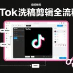 TikTok洗稿剪辑终极秘籍：Premiere Pro全流程+运营爆发课（零基础快速精通）