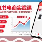 小红书电商暴富秘籍：新手0基础月入过万终极攻略，快速上手赚大钱！