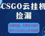 CSGO云挂机暴利捡漏：新手日赚500+无需电脑【独家揭秘】