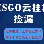 CSGO云挂机暴利捡漏：新手日赚500+无需电脑【独家揭秘】