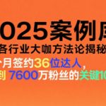 2025引爆案例库：揭秘各行业大咖终极方法论秘笈