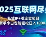 2025网创终极暴富秘籍：私域IP引流狂赚，新手小白零经验日入千元躺赚【揭秘】