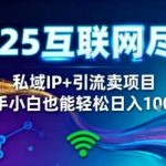 2025网创终极暴富秘籍：私域IP引流狂赚，新手小白零经验日入千元躺赚【揭秘】