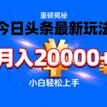 今日头条2025爆款躺赚玩法：月入3W+秘籍，新手必看【惊天揭秘】