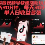 抖音视频号暴涨粉丝秘籍：30分钟日赚千元，单人轻松上手！