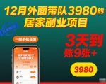 12月爆款居家副业：手机操作3天狂赚900+，独家首发终极教程！