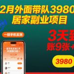 12月爆款居家副业：手机操作3天狂赚900+，独家首发终极教程！