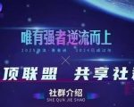2025爆款无人直播实战：云顶联盟终极玩法大揭秘！
