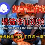 COZE工作流保姆级教程：一键生成惊人橘猫修仙视频！
