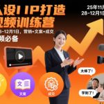强人设IP引爆短视频训练营：营销+文案+成交终极秘籍，轻松赚爆流量！