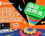 视频号直播爆款秘籍：微付费撬动自然流量底层逻辑！