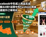 中东Facebook成人用品爆单秘籍：从0运营商城实战，转化率飙升10倍！