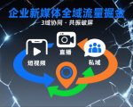 短视频全域流量掘金秘籍：直播+私域+地域3域共振破屏终极指南