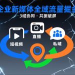 短视频全域流量掘金秘籍：直播+私域+地域3域共振破屏终极指南