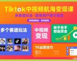 TikTok爆款变现秘籍：新手老手都能日赚千金的10大赛道玩法！