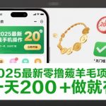 2025薅羊毛项目惊天揭秘：手机操作秒赚200+，无门槛日入过百必火！