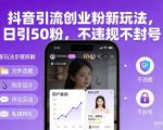 抖音创业粉引流秘籍：日引100+粉，安全不封号，爆粉神器！