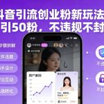 抖音创业粉引流秘籍：日引100+粉，安全不封号，爆粉神器！