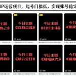 抖音IP运营秘籍：0门槛起号今日玩法，账号暴增稳如泰山！