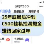 CSGO挂机暴利掘金：一部手机零门槛日入千元+【绝密揭秘】