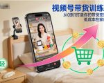 视频号带货训练营：0基础引爆流量，低成本在家月赚万元！