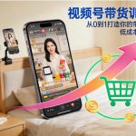 视频号带货训练营：0基础引爆流量，低成本在家月赚万元！