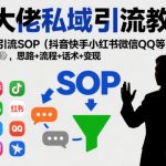 私域流量爆款秘籍：全平台引流SOP终极教程（含思路流程话术），日引千粉快速变现！