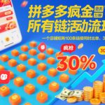 拼多多爆单秘籍：100链接矩阵疯狂打标，30%利润起店实战！
