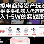 月狂赚1-5W！虚拟电商轻资产躺赚玩法：拼多多机器人代运营实战全揭秘
