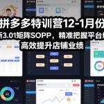 拼多多年货节红利爆发！3.01矩阵SOP特训营，引爆店铺业绩暴涨攻略