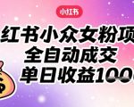 小红书小众女粉项目，全自动成交，单日收益多张