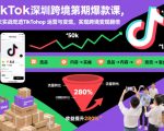 TIKTOK跨境爆款终极课：20天实战掌握TIKTOK SHOP运营，变现翻倍惊人秘籍！