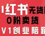 小红书零粉暴富秘籍：无货源电商课全栈运营，轻松月入过万（含最新资料）