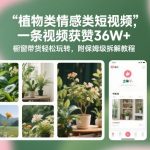 植物类情感类短视频，一条视频获赞36W+，橱窗带货轻松玩转，附保姆级拆解教程
