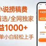 全网独家！番茄小说捞稿费，日收益1K+，副业必看，小白易上手，超级简单【揭秘】
