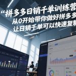 拼多多日销千单训练营，从0开始带你做好拼多多，让日销千单可以快速复制(更新26年1月)