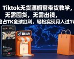 TikTok无货源带货终极秘笈：0囤货0出镜，轻松抢占全球红利月入破万+！