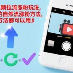 短视频自然流涨粉终极秘籍：7天速成爆粉实操法，人人可复制！