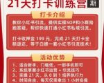 小红书引流21天打卡训练营第二期，助你快速打通小红书私域引流打粉